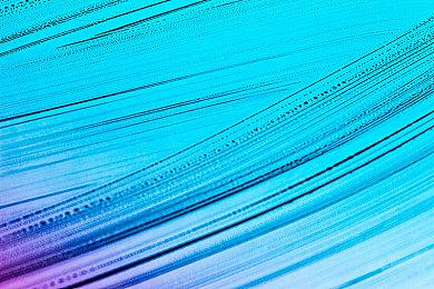 《宝可梦：大集结》“谜拟丘”参战 10月19日上线